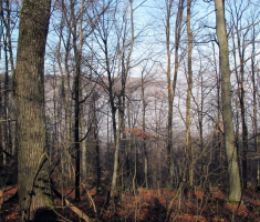 20151206_krndija_045