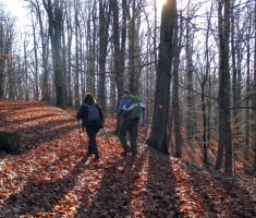 20151206_krndija_047