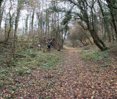 20251206_podunavlje_trail_041