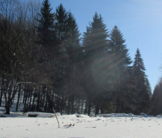 20170107_papuk_016