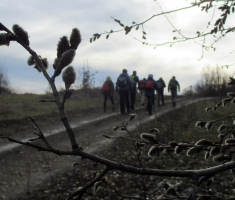 20160207_dilj_gora_cardak_006