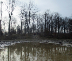 20160207_dilj_gora_cardak_008