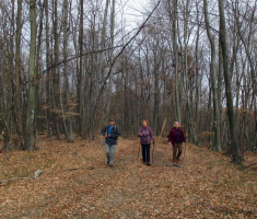20160207_dilj_gora_cardak_017