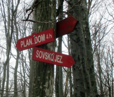 20160207_dilj_gora_cardak_042