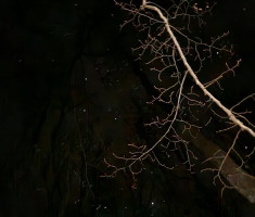 20260207_5_kolo_dls_039