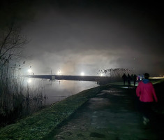 20260207_5_kolo_dls_049