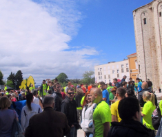 20170507_wings_for_life_015