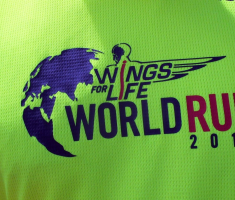 20170507_wings_for_life_021