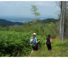 papuk20130707_012