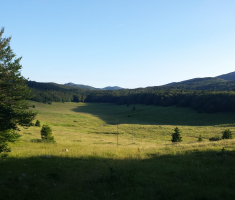 20160718_platak_loncarici_003