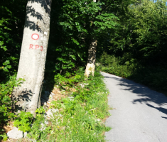 20160718_platak_loncarici_005