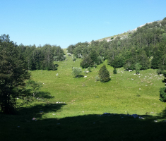 20160718_platak_loncarici_007