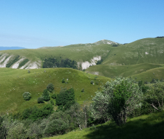20160718_platak_loncarici_008