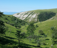 20160718_platak_loncarici_009