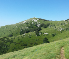 20160718_platak_loncarici_012