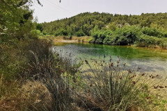 07.07.2021. - Velebit i još nešto