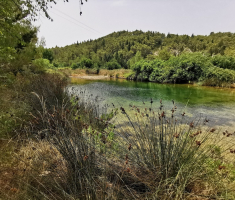 20210713_velebit_044