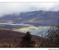 Pogled