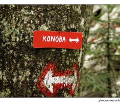 Konoba