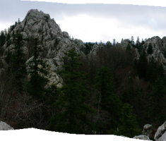Pogled