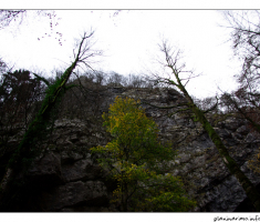 stijena