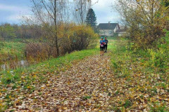 07.11.2021. - Močvara trail