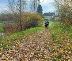 07.11.2021. - Močvara trail