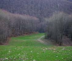 Ski staza