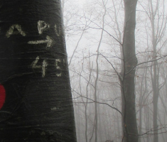 20141207_papuk_022
