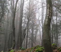 20141207_papuk_031