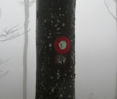 20141207_papuk_043