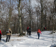 20170108_papuk_042