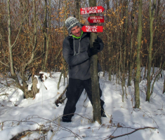 20170108_papuk_047