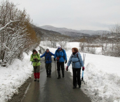 20150208_krndija_007