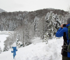 20150208_krndija_008