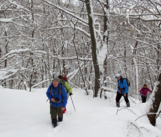 20150208_krndija_011