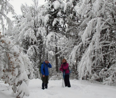 20150208_krndija_015