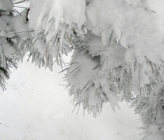 20150208_krndija_019