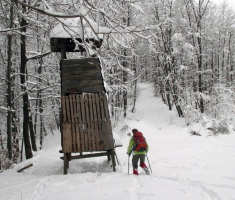 20150208_krndija_020