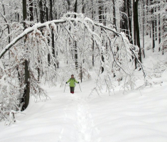 20150208_krndija_027