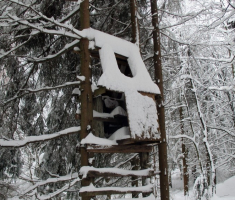 20150208_krndija_030
