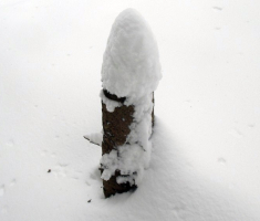20150208_krndija_031