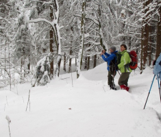 20150208_krndija_034