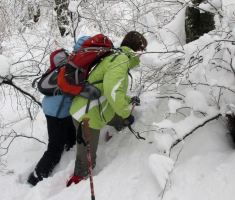 20150208_krndija_035