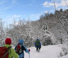 20150208_krndija_039