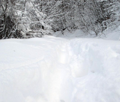 20150208_krndija_040