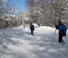 20150208_krndija_041