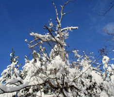 20150208_krndija_043