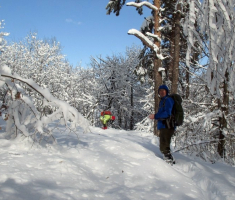 20150208_krndija_044