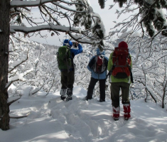 20150208_krndija_046